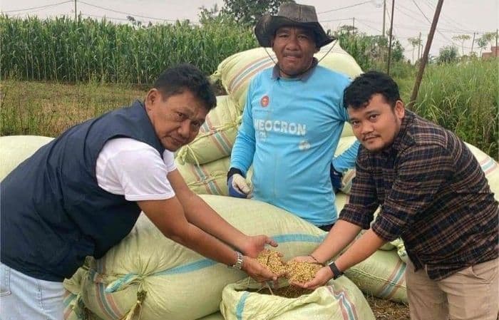 bulog_siantar_pastikan_stok_beras_aman_serapan_gabah_petani_capai_target