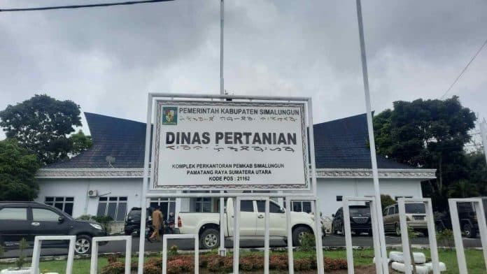 distan_simalungun_terima_laporan_kekeringan_dari_petani_akibat_kemarau_panjang