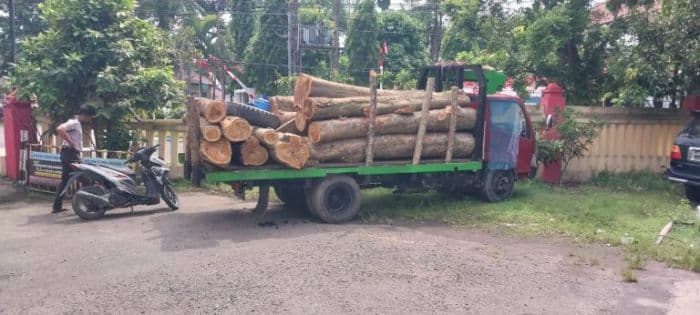 enam_pencuri_kayu_jati_di_deli_serdang_diringkus_barang_buktinya_satu_truk_disita