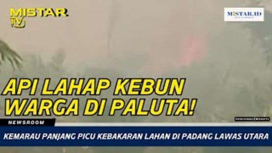 newsroom_kemarau_panjang_picu_kebakaran_lahan_di_padang_lawas_utara
