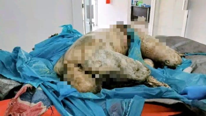 jenazah_yang_ditemukan_nelayan_di_batu_bara_tidak_dapat_diidentifikasi_karena_sudah_hancur