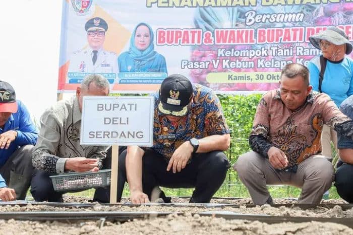 pemkab_deli_serdang_bangun_demplot_bawang_merah_di_beringin_untuk_perkuat_ketahanan_pangan