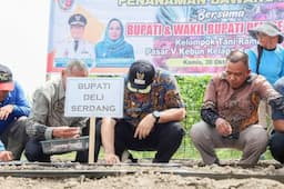 pemkab_deli_serdang_bangun_demplot_bawang_merah_di_beringin_untuk_perkuat_ketahanan_pangan