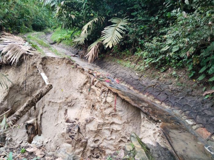 irigasi_rusak_delapan_tahun_di_dolok_panribuan_petani_dulu_panen_padi_sekarang_beli_beras