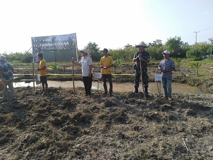 percepat_swasembada_kementan_tanam_padi_gogo_di_pantai_labu_deli_serdang