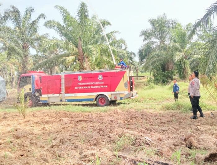 lima_hektar_lahan_tanaman_jagung_di_sei_suka_alami_kekeringan