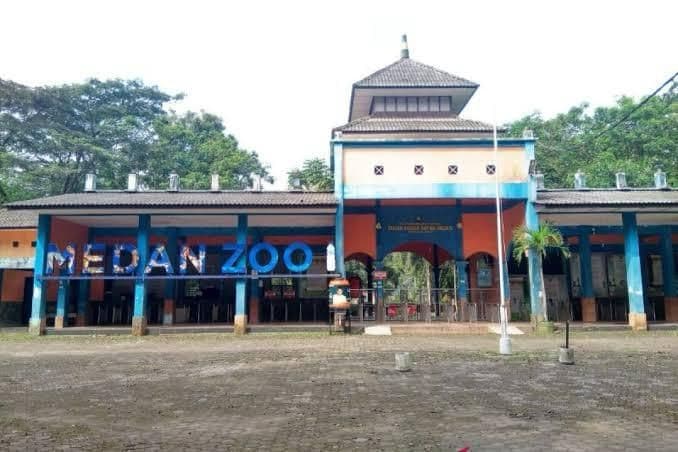 pud_pembangunan_pastikan_medan_zoo_masih_beroperasi_satwa_tetap_terawat