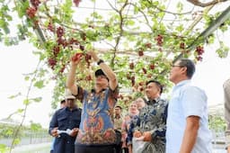 dusun_cempaka_jadi_role_model_pertanian_modern_di_deli_serdang