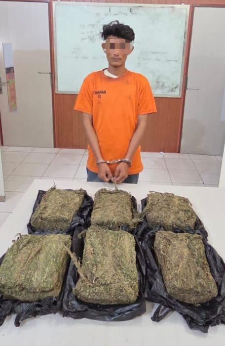 polres_tebing_tinggi_tangkap_pria_di_simalungun_amankan_6_kg_ganja