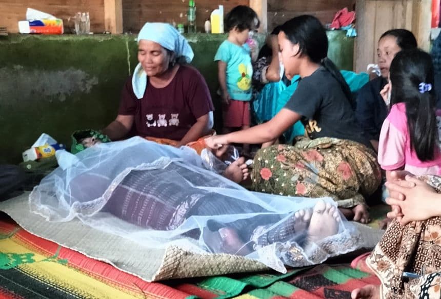 disengat_lebah_hutan_ayah_meninggal_dan_anak_selamat_di_dairi