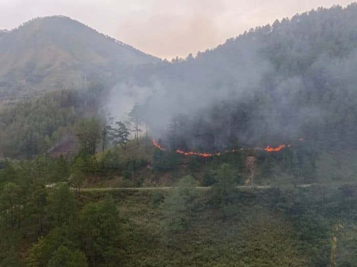 100_hektar_hutan_lindung_di_samosir_terbakar