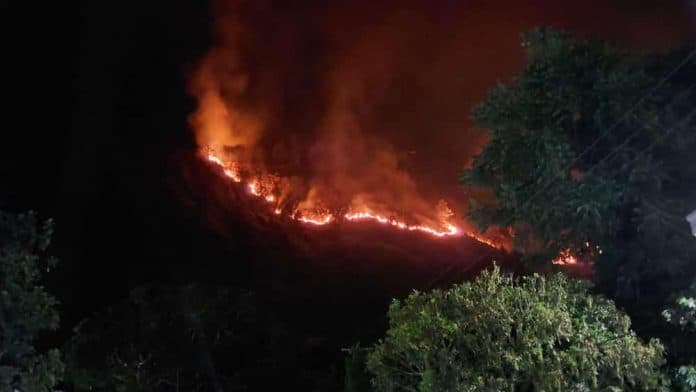 10_hektare_lahan_perbukitan_haranggaol_terbakar