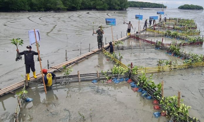 10_ribu_mangrove_ditanam_di_desa_silo_baru_asahan