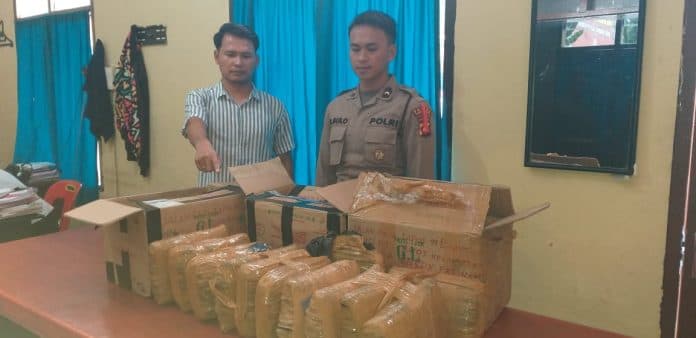 12_kg_ganja_kering_gagal_dikirim_melalui_bandara_silangit