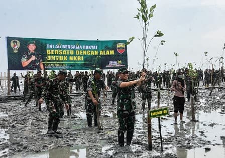 15000_pohon_mangrove_ditanam_di_bibir_pantai_perbatasan_selat_malaka