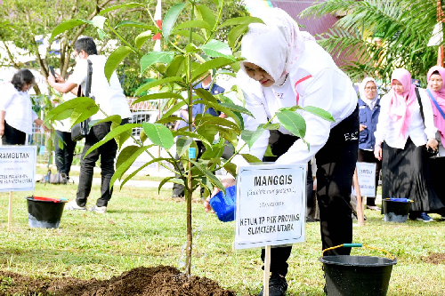 150_bibit_buah_unggulan_asal_sumut_dipilih_untuk_penanaman_1000_pohon
