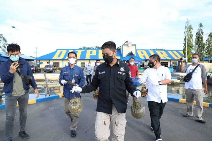 154_ekor_hewan_dilindungi_jenis_belankas_gagal_diperdagangkan