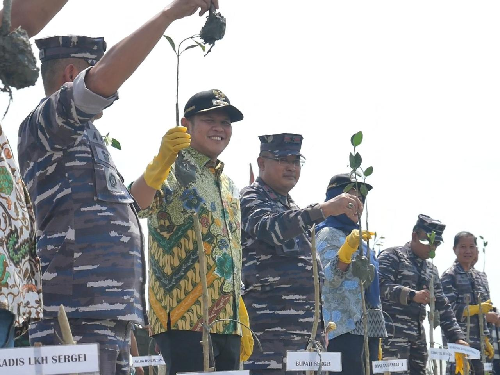 15_ribu_bibit_mangrove_ditanam_di_bagan_kuala_tanjung_beringin_sergai