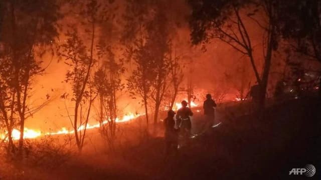 19_tewas_dalam_upaya_pemadaman_kebakaran_hutan_di_china