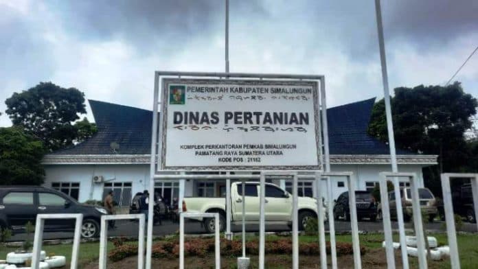 21_kecamatan_di_simalungun_hasilkan_353289_ton_padi_selama_tahun_2022
