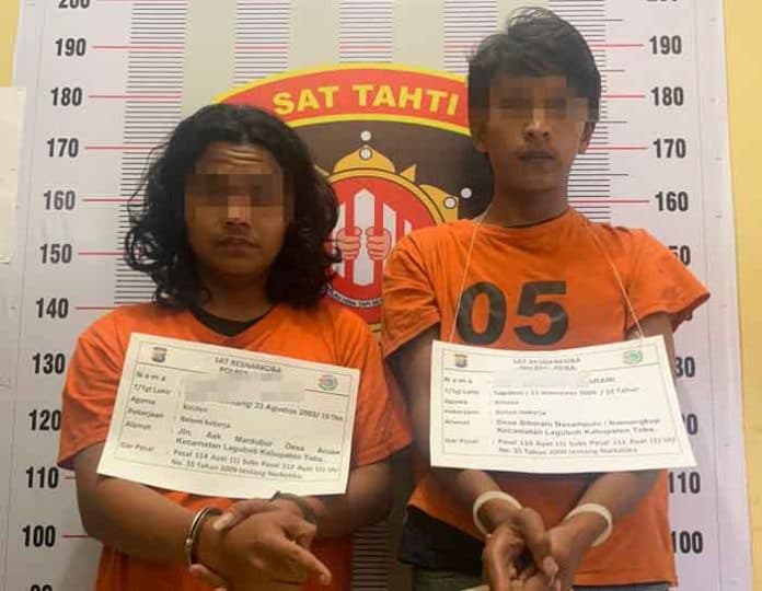 2_hari_operasi_berantas_narkoba_polres_toba_7_penyalahguna_diciduk
