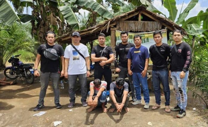 2_pemuda_digerebek_sat_narkoba_simalungun_di_gubuk_terpencil