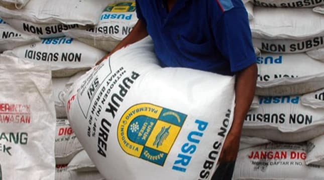 300_ribu_ton_pupuk_disiapkan_untuk_musim_tanam_kedua