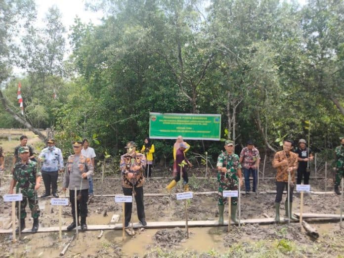 30_ribu_bibit_mangrove_bentengi_pesisir_pantai_asahan