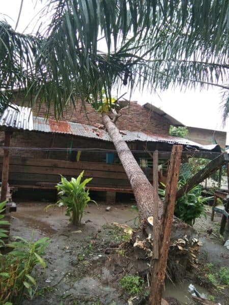 38_unit_rumah_di_beringin_dan_pantai_labu_porak_poranda_diterjang_puting_beliung