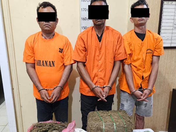 3_bandar_ganja_diringkus_sat_resnarkoba_polres_langkat_lewat_penyamaran