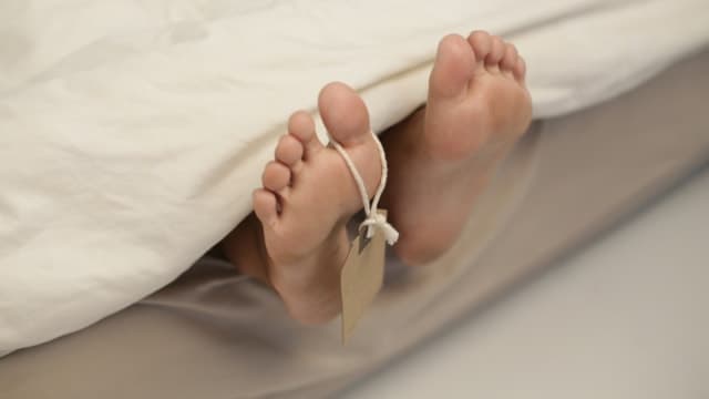 5_mayat_di_freezer_kapal_nakhoda_sebut_abk_sempat_minum_miras_oplos