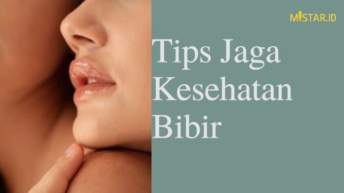 5_tips_miliki_bibir_sehat_dan_lembut_gel_lidah_buaya_salah_satunya
