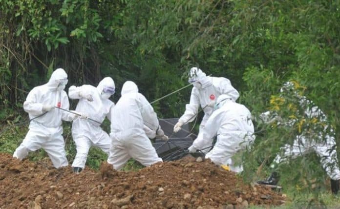 60_persen_dokter_meninggal_karena_covid_19_ternyata_dokter_umum