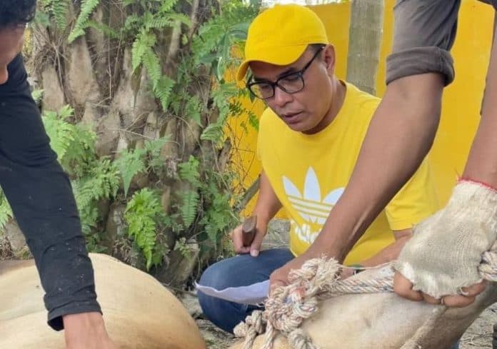 750_kk_terima_daging_kurban_dari_golkar_deli_serdang