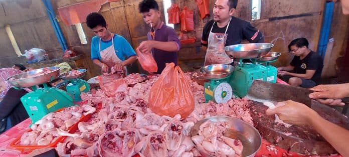 acara_hajatan_meningkat_dorong_harga_ayam_naik_di_medan