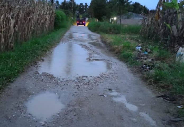 acara_hut_ri_ke_78_warga_rimo_bunga_soroti_dan_protes_jalan_rusak_parah