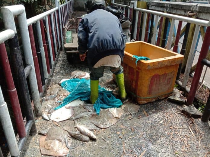 ada_warga_terciduk_buang_bangkai_ikan_ke_sungai_bah_bolon