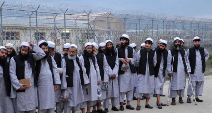 afghanistan_dan_taliban_bahas_negosiasi_perdamaian