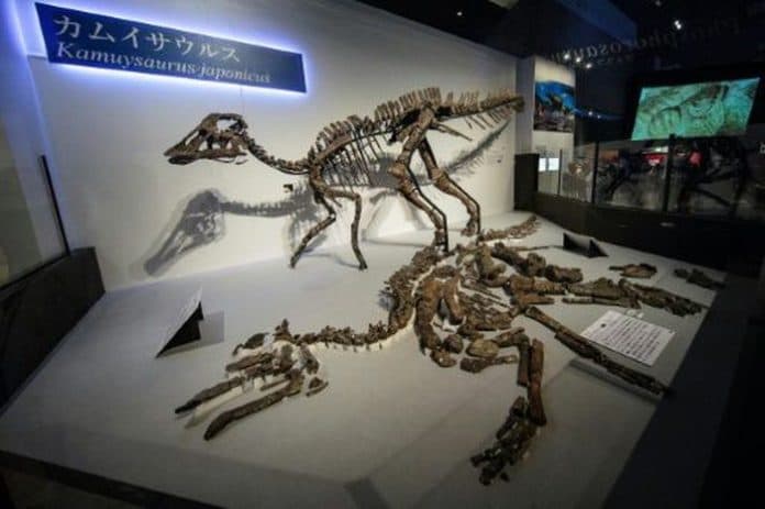 ahli_di_jepang_berhasil_temukan_dinosaurus_jenis_baru