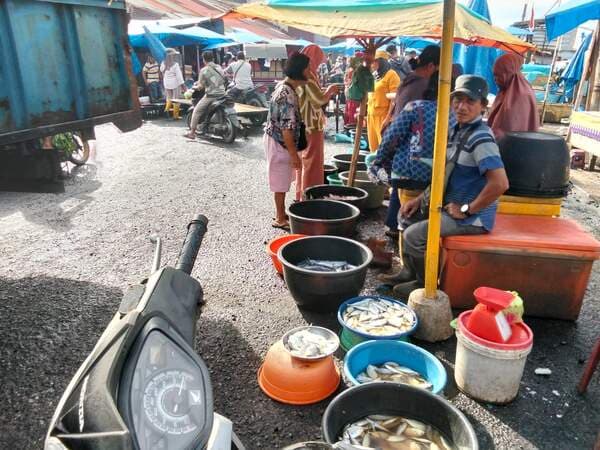 akibat_cuaca_ekstrem_harga_ikan_melambung_di_sibolga