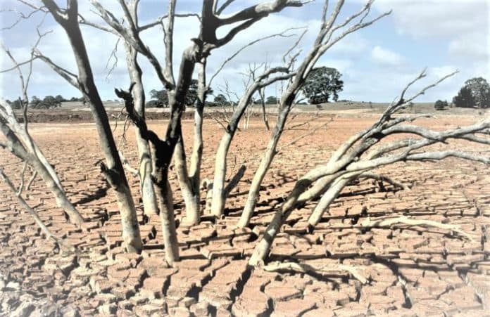 akibat_el_nino_68_juta_orang_di_afrika_bagian_selatan_terdampak_kekeringan