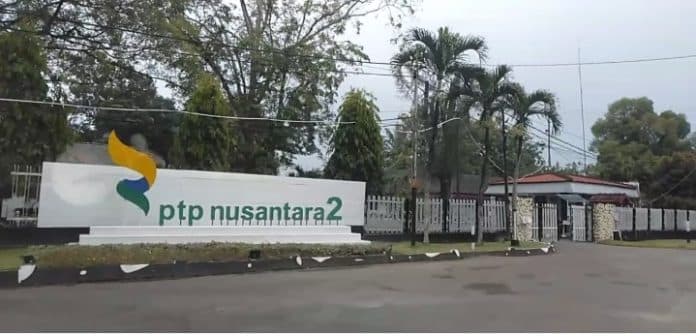 alasan_takut_pencurian_ptpn2_keberatan_jalan_kebun_diaspal_pemkab_deli_serdang