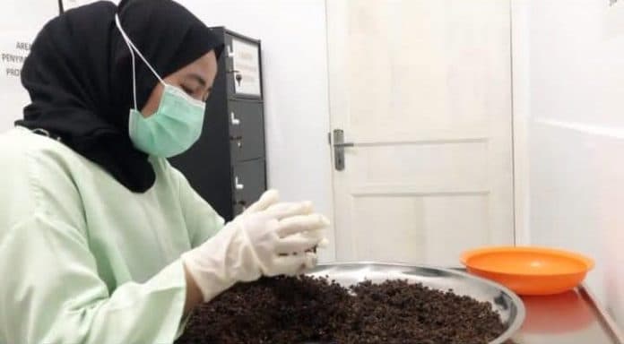 andaliman_kini_dapat_diminum_dengan_kopi_toba_begini_racikannya