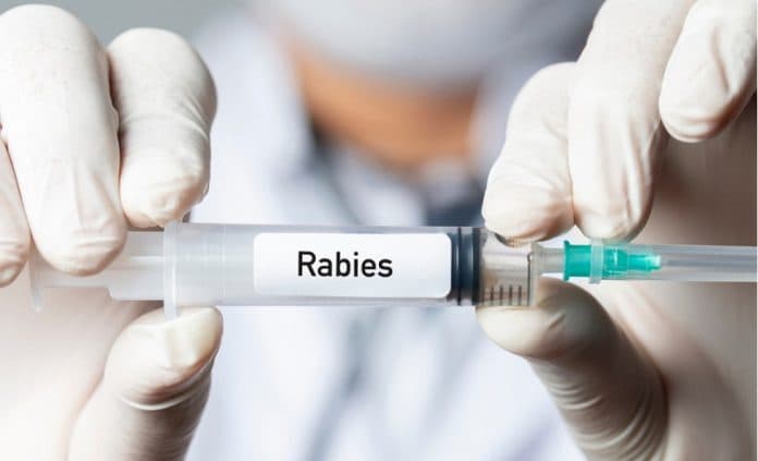 anggaran_penanganan_rabies_simalungun_dibahas_senin_depan