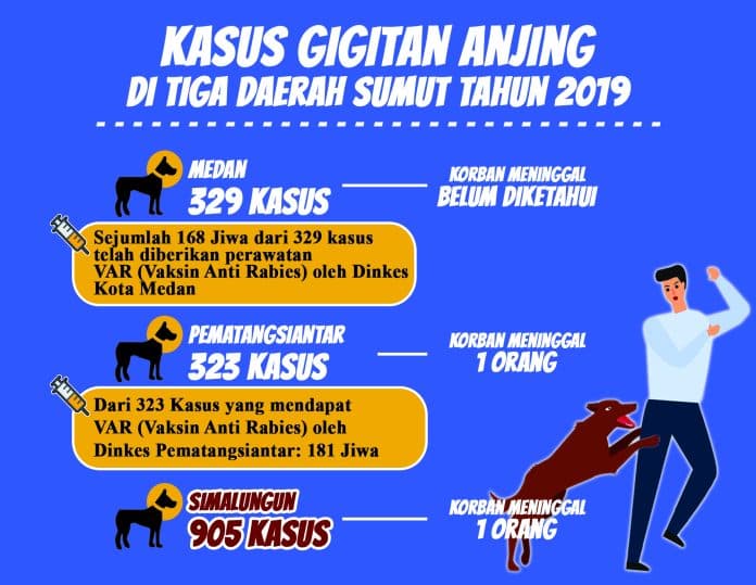 anjing_gigit_1557_orang_dua_diantaranya_tewas