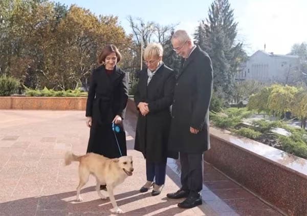 anjing_moldova_biasa_menggigit_manusia_tapi_kali_ini_presiden_austria