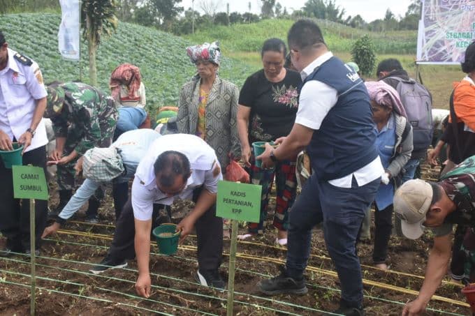 antisipasi_darurat_pangan_2024_pemkab_dairi_galakkan_petani_kejar_target