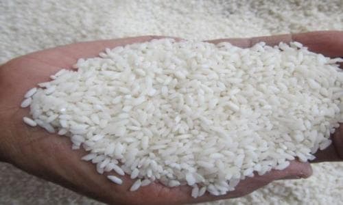 antisipasi_el_nino_ri_impor_1_juta_ton_beras_dari_india