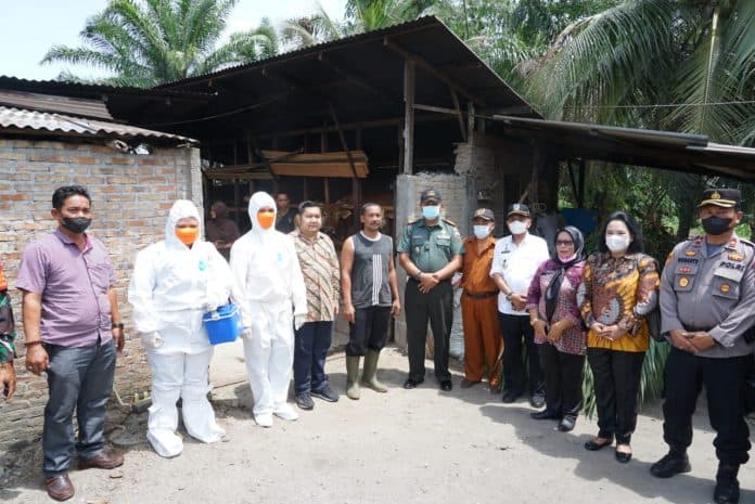 antisipasi_pmk_pemko_tebing_tinggi_percepat_vaksinasi_hewan_ternak