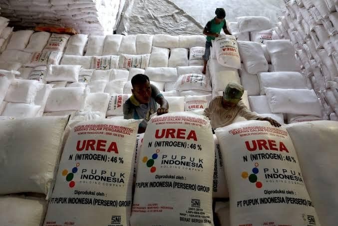 asosiasi_pengusaha_pupuk_hutabayu_raja_segera_laporkan_distributor_pupuk